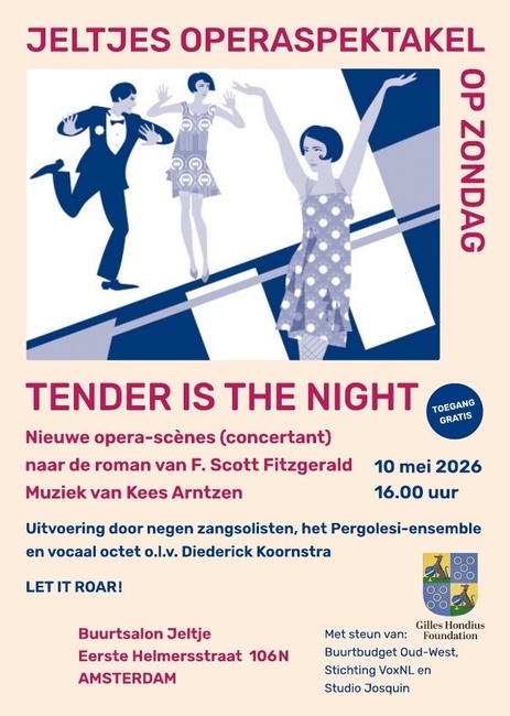 Tender is the night (concertante opera)