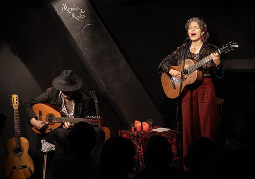 flamenco bij volle maan Cultuurboerderij Westelbeers