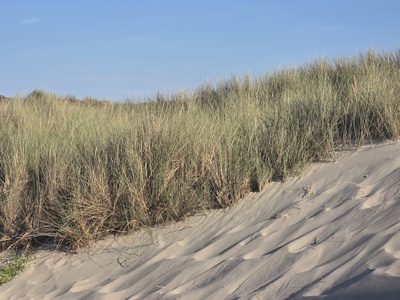 Duinland